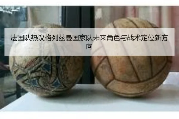 fa-guo-dui-re-yi-ge-lie-zi-man-guo-jia-dui-wei-lai-jue-se-yu-zhan-shu-ding-wei-xin-fang-xiang-3-154.jpg